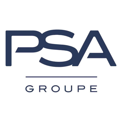 Reparacion Original Picaron Escape Peugeot 206 - 307 - C3 (TU5JP4)